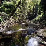 La Selva 3*