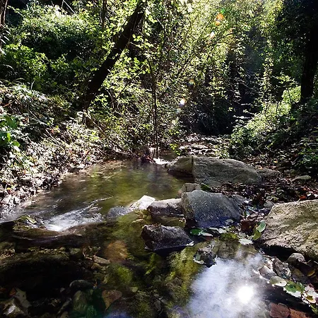 La Selva 3*